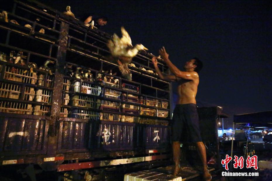4.57億美元 中國(guó)華電進(jìn)博會(huì)簽約金額較去年增長(zhǎng)30%