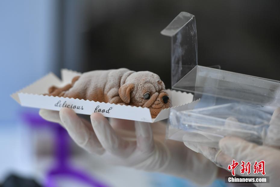 只留經(jīng)典不留遺憾！濟南起步區(qū)每一寸土地都規(guī)劃得清清楚楚