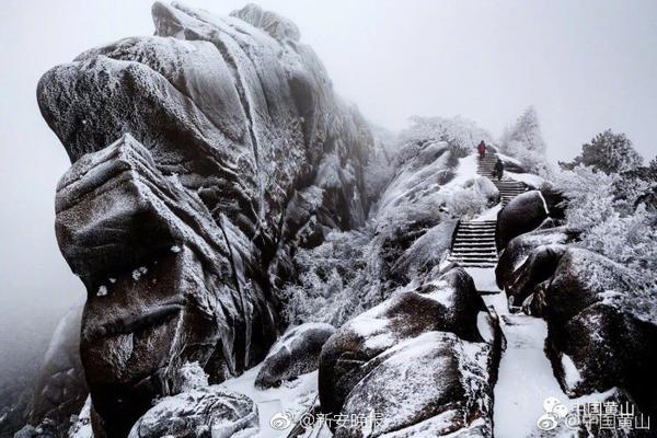 “復制”蜜雪冰城，奈雪開價100萬