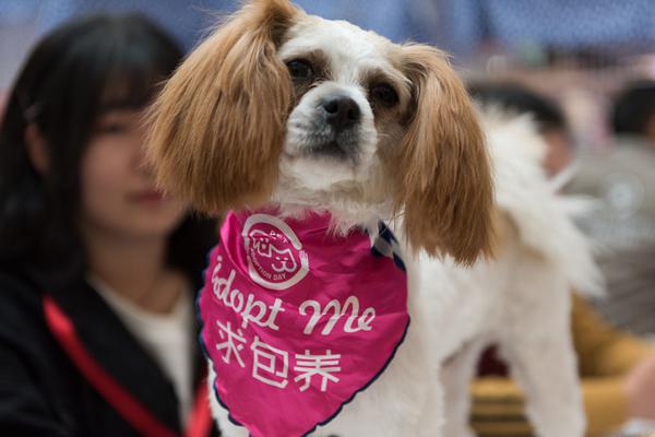 國民初戀顏？她這是要復制沈月的走紅奇跡了？