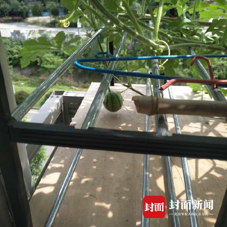 中國石化有序開展今冬明春能源保供工作