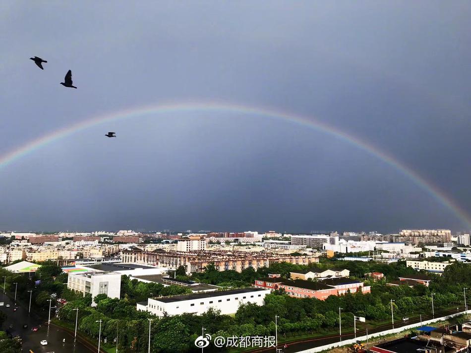 當無人替你負重前行時，你終歸要回到人生的正軌