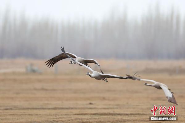 重慶市黔江區(qū)2023年重點(diǎn)建設(shè)項(xiàng)目計(jì)劃：新建220千伏線路路徑長(zhǎng)度75公里