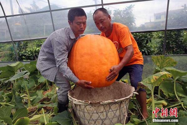 賽門鐵克助國網(wǎng)四川電力公司一年內(nèi)收回投資