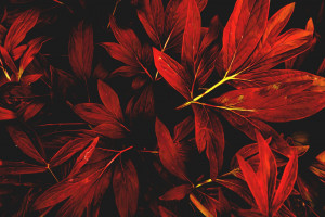 “蒙能570”匯集接網(wǎng)工程獲核準(zhǔn)