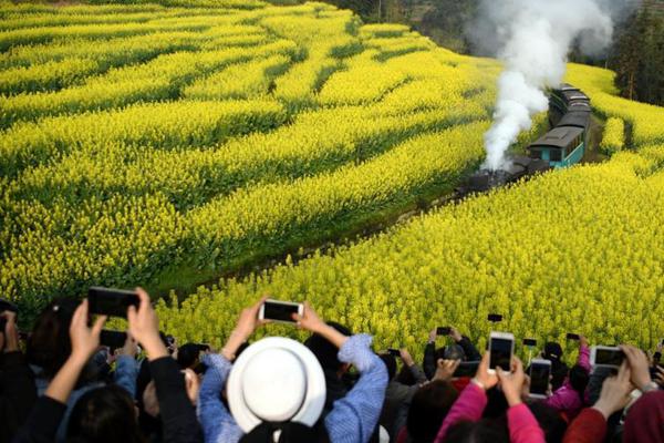留法博士任上被查 曾掌舵中國唯一的科技城