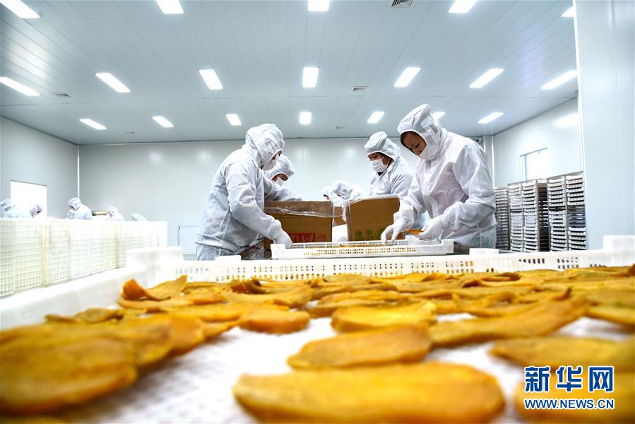 男子買跑步機給兩只狗鍛煉：白天忙于上班