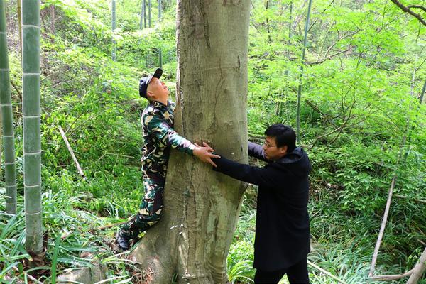 南京應用技術學校涉嫌虛假招生？南京人社局回應