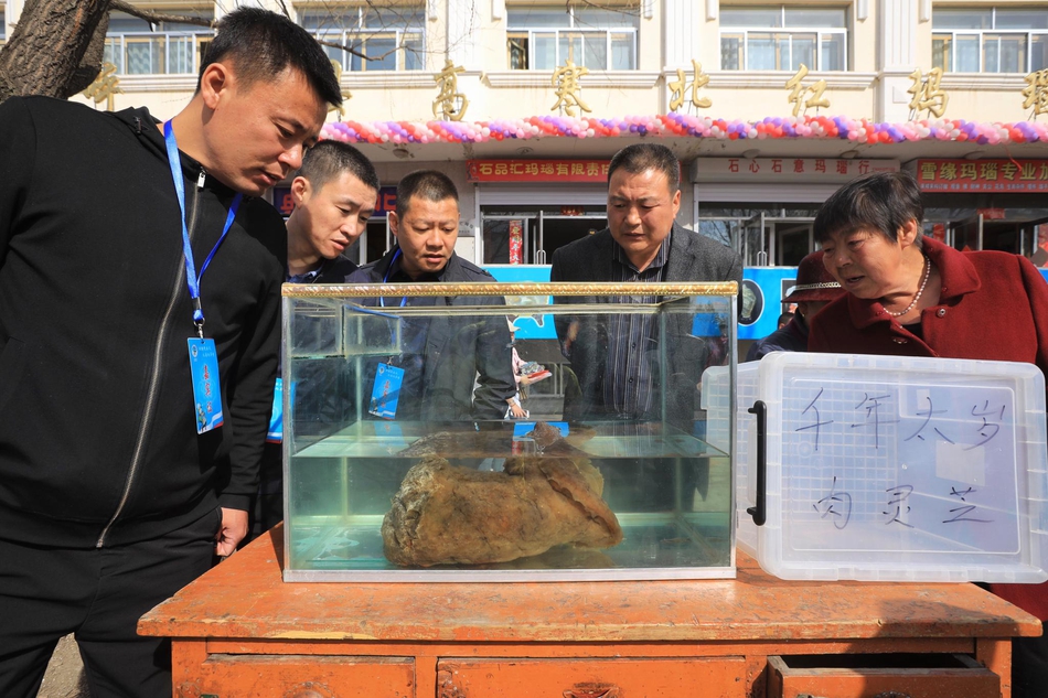 電改5年誰對降價貢獻大 是電網還是發電拖了降價的后腿？
