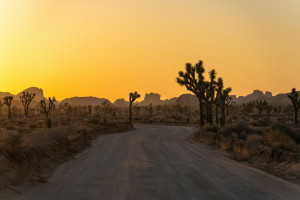 山東公示6名全國優(yōu)秀縣委書記擬推薦對象 歷下區(qū)委書記江山在列