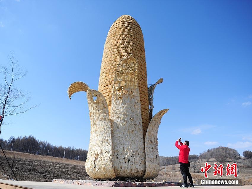 北極星學社APP職場人的職業力充電平臺