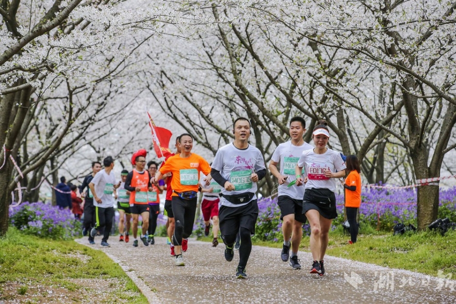 山東發布8月份重點交通違法企業、車輛及駕駛人名單
