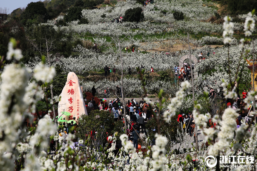 "紅襪子奶奶"就像一團火種 七旬退役老兵重新聽到了世界的精彩