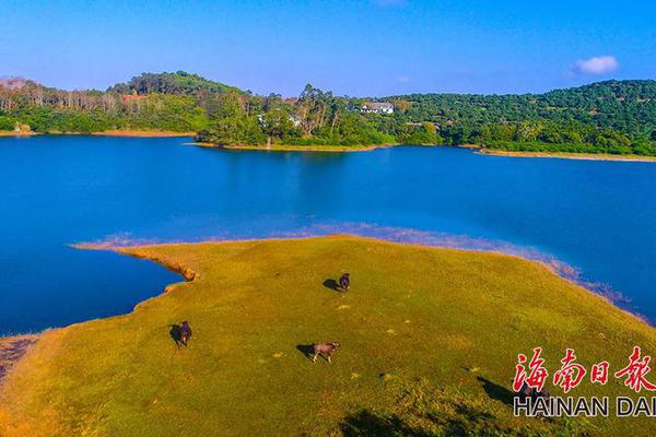 市場(chǎng)分析：我國(guó)數(shù)據(jù)中心產(chǎn)業(yè)現(xiàn)狀及趨勢(shì)