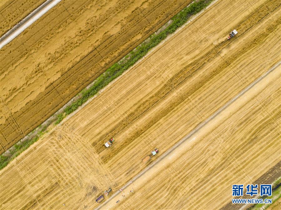 以蔥省為例 制約新能源參與市場(chǎng)的因素有哪些？