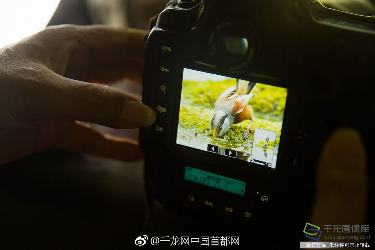 微語(yǔ)錄精選1119：貞子休產(chǎn)假