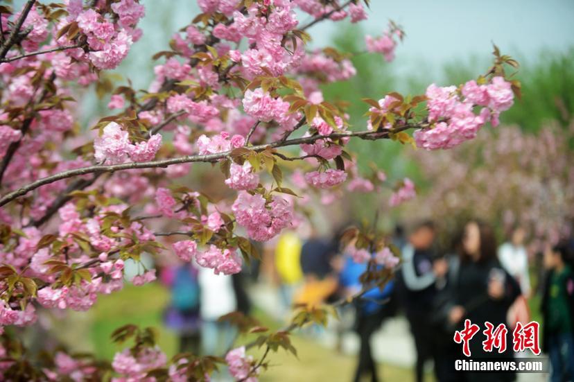 “世紀審判”辛普森案，人類可以接受一個有缺陷的正義嗎？
