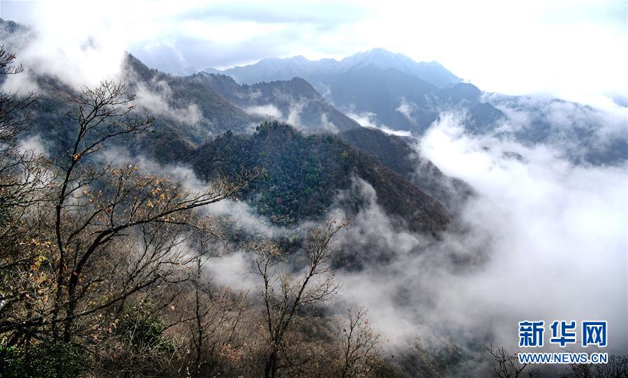 河南：鼓勵有條件的園區(qū)、廠區(qū)充分利用可再生能源