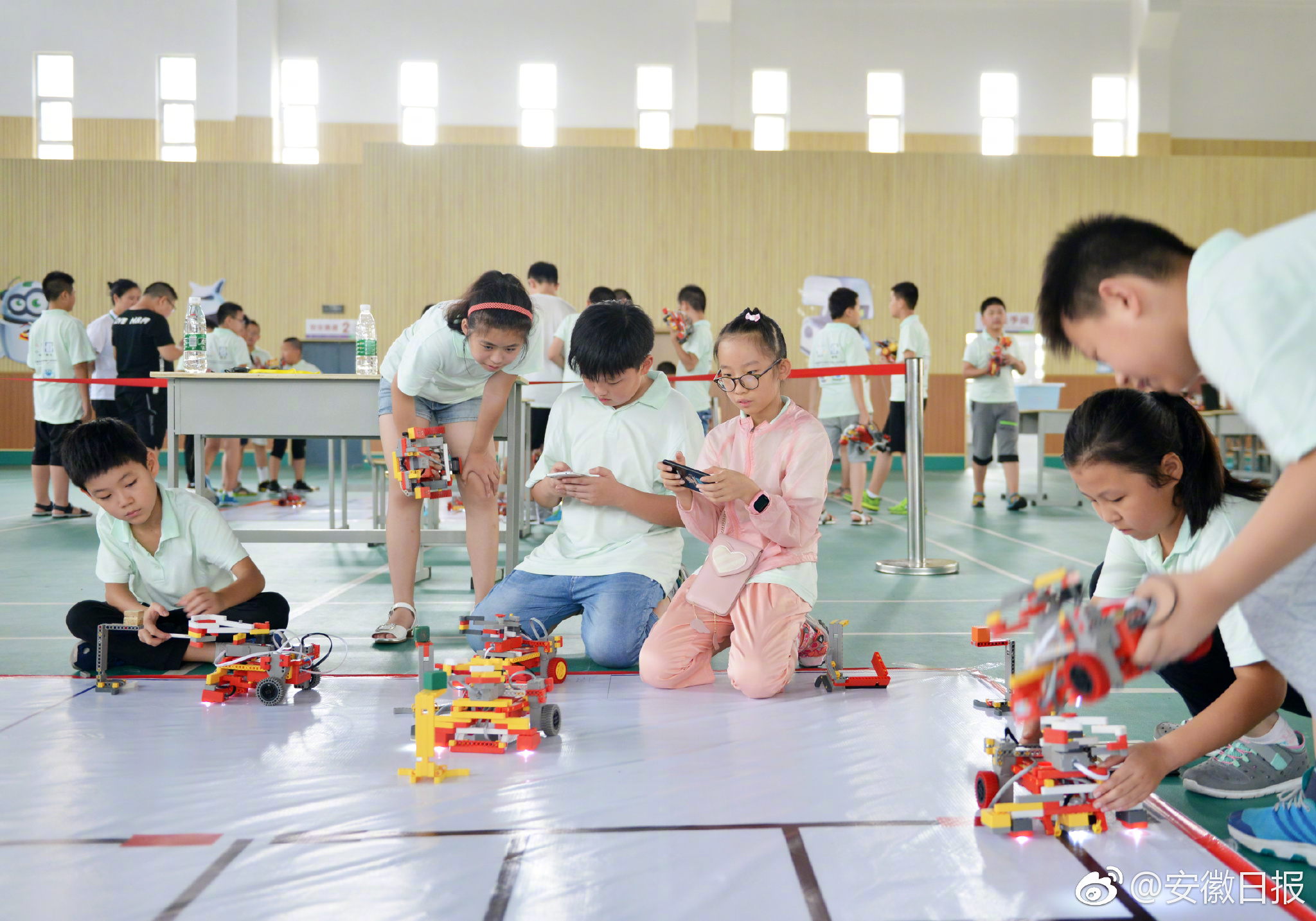 帶上望遠鏡，去這些地方“偷窺”鳥兒談戀愛