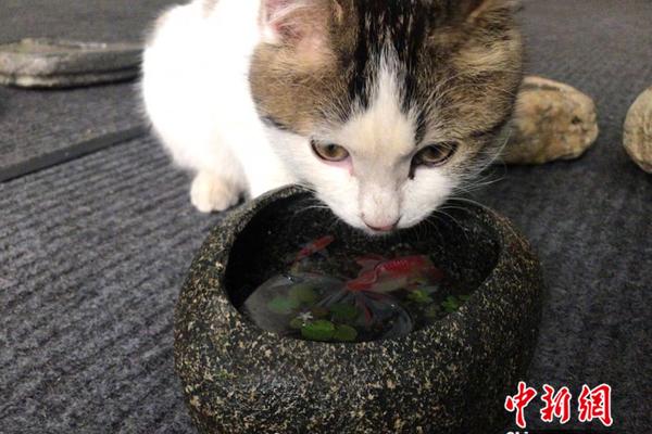 望岳談|山東攻堅：企業笑臉越來越多，&ldquo;肌肉&rdquo;越來越強壯