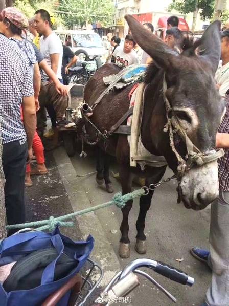 中考模擬卷被“餓了么”廣告植入