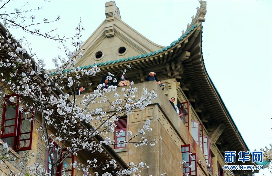 濟南直至西寧的東西大通道、沿黃地區50個內陸港、小清河復航河海