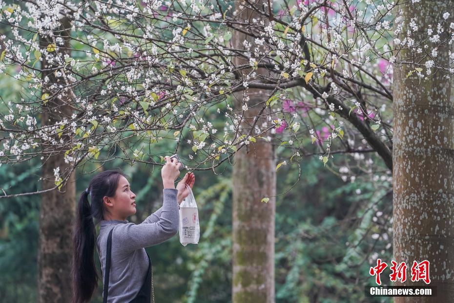 羅馬尼亞議會通過關(guān)于黑海天然氣開采法律草案