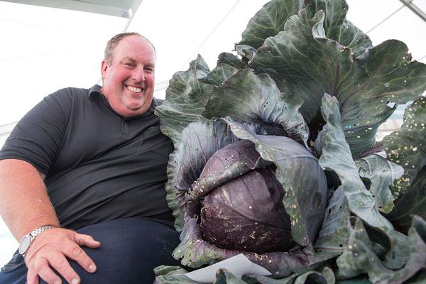 山東夏糧再獲豐收，面積、單產、總產實現&ldquo;三增&rdquo;