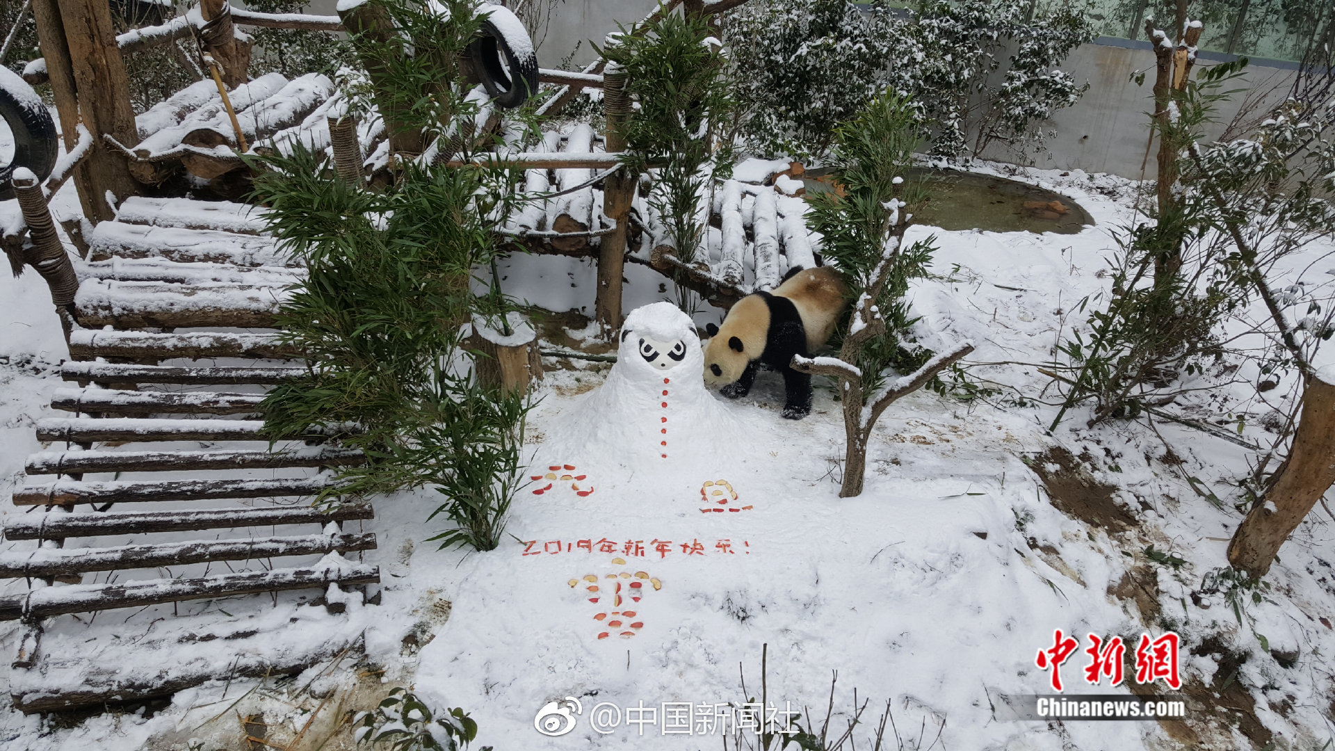 揭開面具 全解物聯網現狀與未來