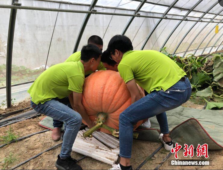 湖北“源網(wǎng)荷儲(chǔ)”友好交互新型配電網(wǎng)試點(diǎn)建成