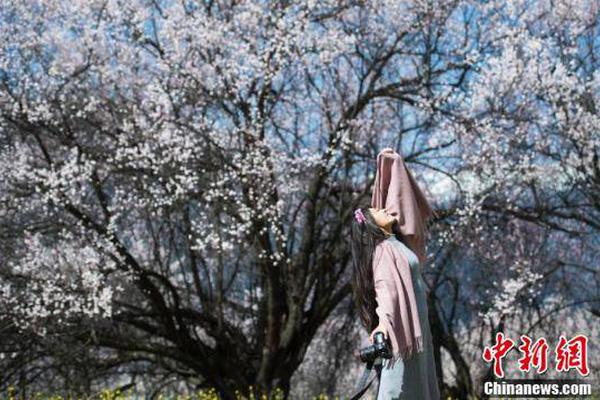 好品山東｜國內唯一農字號綜試區&ldquo;牛&rdquo;在哪？這三點說明白了！