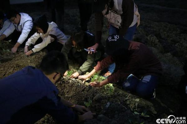 濟鄭高鐵長清黃河特大橋架梁基本完成，進入全橋合龍沖刺階段