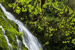 中石化晉中公司首座LNG加氣站開始營業
