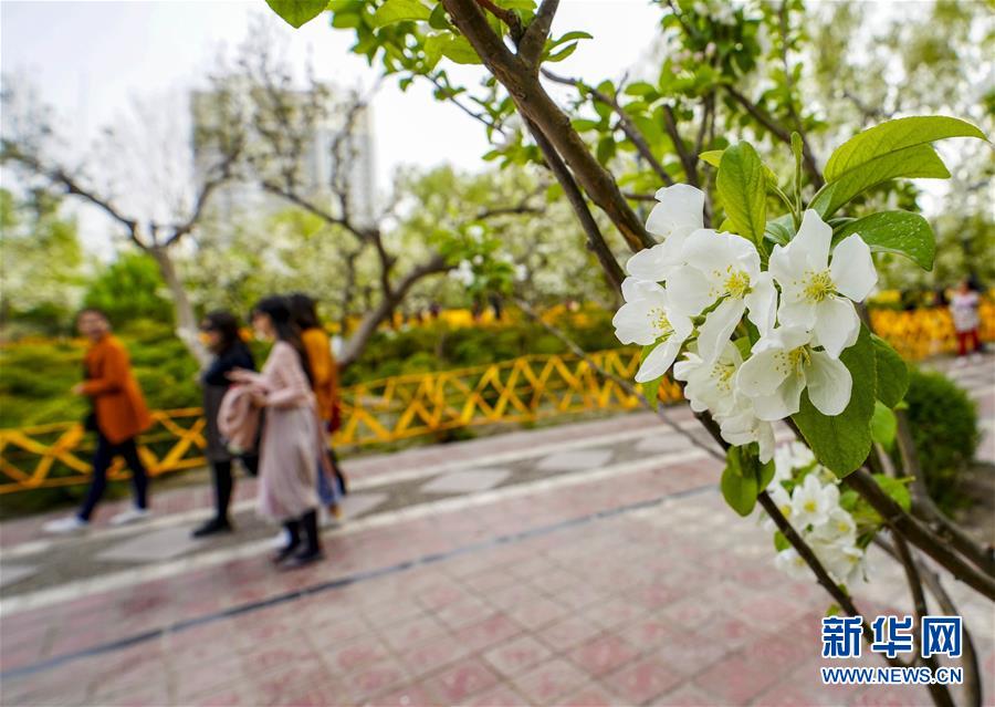 山東省2022年下半年中小學教師資格考試（筆試）將于10月29日進行