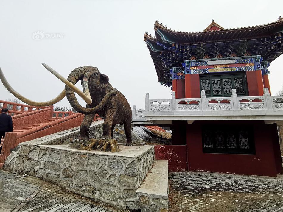 西部首座虛擬電廠在成都高新區(qū)上線運(yùn)行