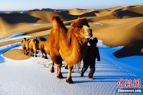 全額消納！廣西連續(xù)58個月“零棄水、零棄風、零棄光”