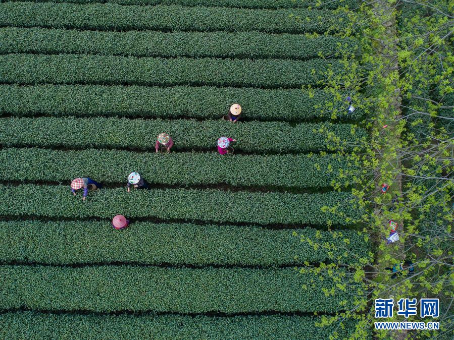 青海省電網最大規模750千伏構架吊裝首吊工作順利完成