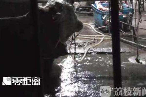 甘肅省內(nèi)綠電交易量突破2億千瓦時