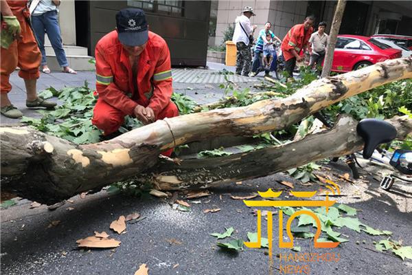 GPT-4加強版Copilot來了！動嘴就能編程，測試申請已開啟，網友：程序員已死