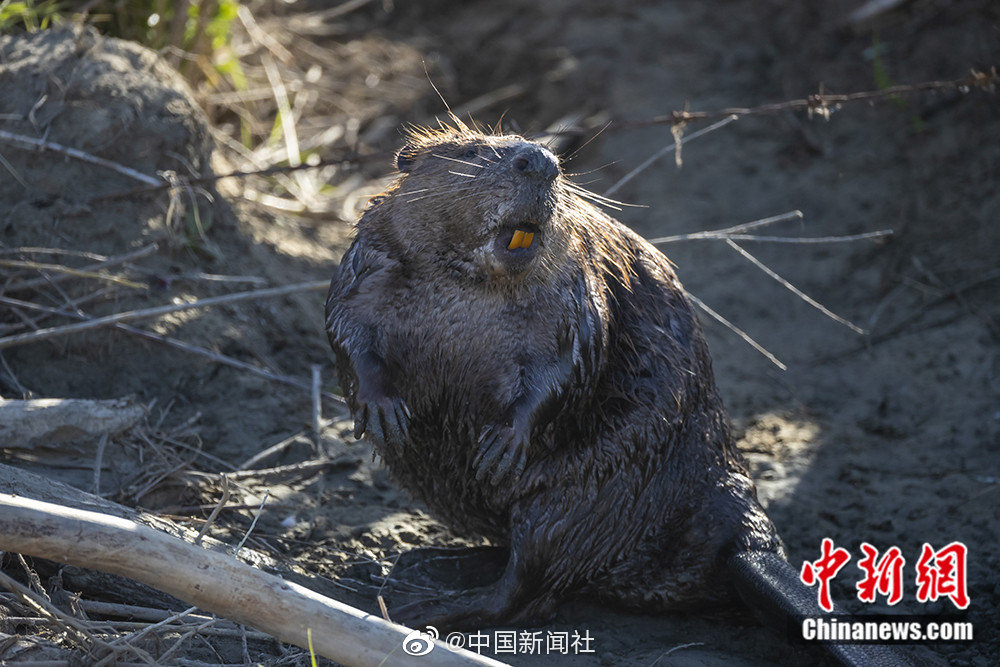 “智慧嘉興”建設揚帆起航