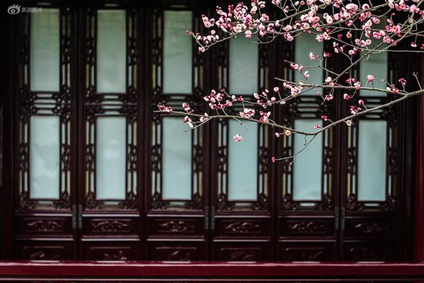 市場即將進(jìn)入短線企穩(wěn)區(qū)域