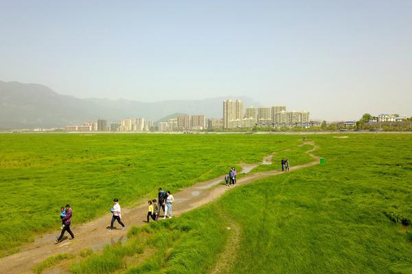 85億打造“數字南網”！南方電網公司數字南網建設行動方案