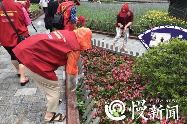 國內首條"6改8"高速公路 京臺高速濟泰段改擴建項目建成通車