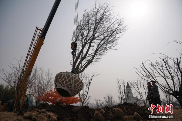 狀態檢修信息化 使電力設備大而不拙