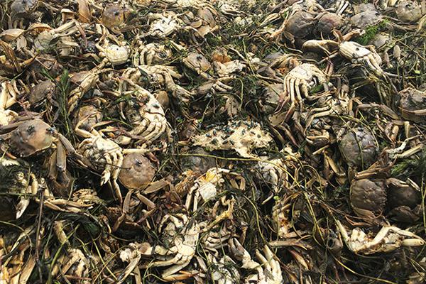 在上海網紅武康路上，月租1000到50000，都能住到什么樣的老房子