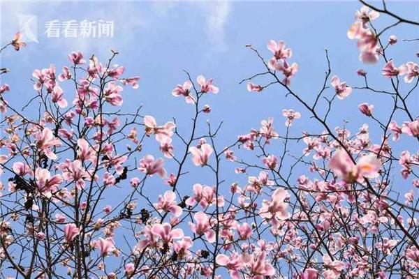 安徽2021年電力直接交易首次邁入千億門檻