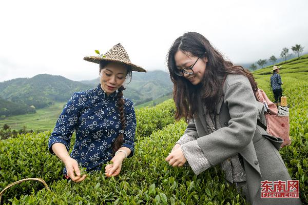國網河南2020年第三批物資招標采購推薦的中標候選人