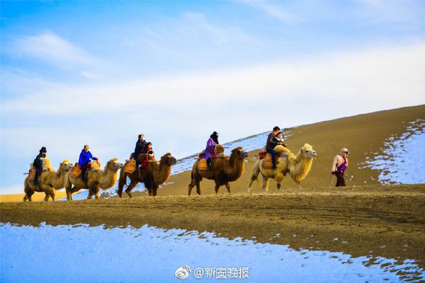 丁真和王冰冰爆火背后：留給流量明星的時間不多了