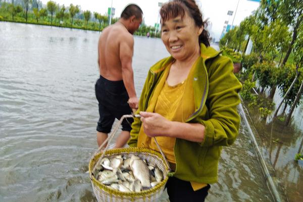 北京金海湖110千伏變電站主變增容工程項目核準獲批