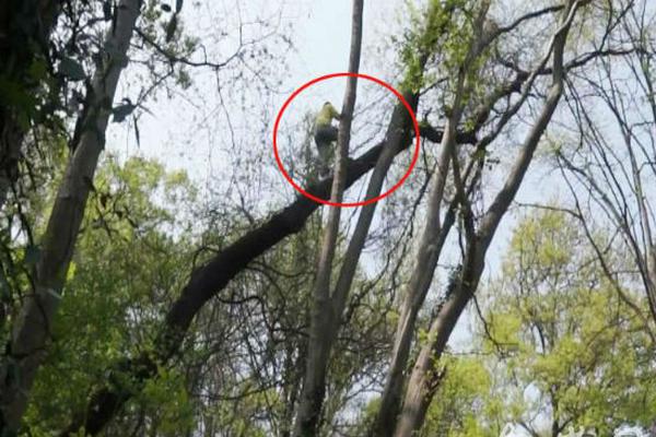 浙江玉環供電：推進FA全覆蓋 賦能配電網“秒級自愈”